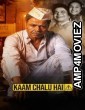 Kaam Chalu Hai (2024) Hindi Movie