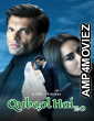 Qubool Hai 2 0 (2021) Hindi Season 1 Complete Shows