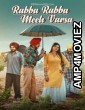 Rabba Rabba Meeh Barsa (2022) Punjabi Full Movie