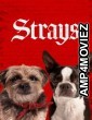 Strays (2023) ORG Hindi Dubbed Movie