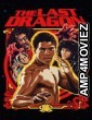 The Last Dragon (1985) ORG Hindi Dubbed Movie