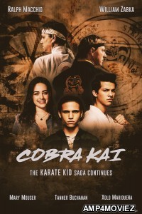 Cobra Kai (2019) Hindi Dubbed Season 2 Complete Show