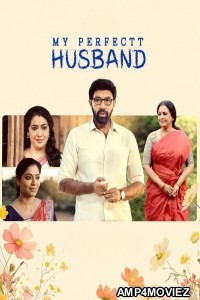 My Perfectt Husband (2024) Season 1 Hindi Web Series